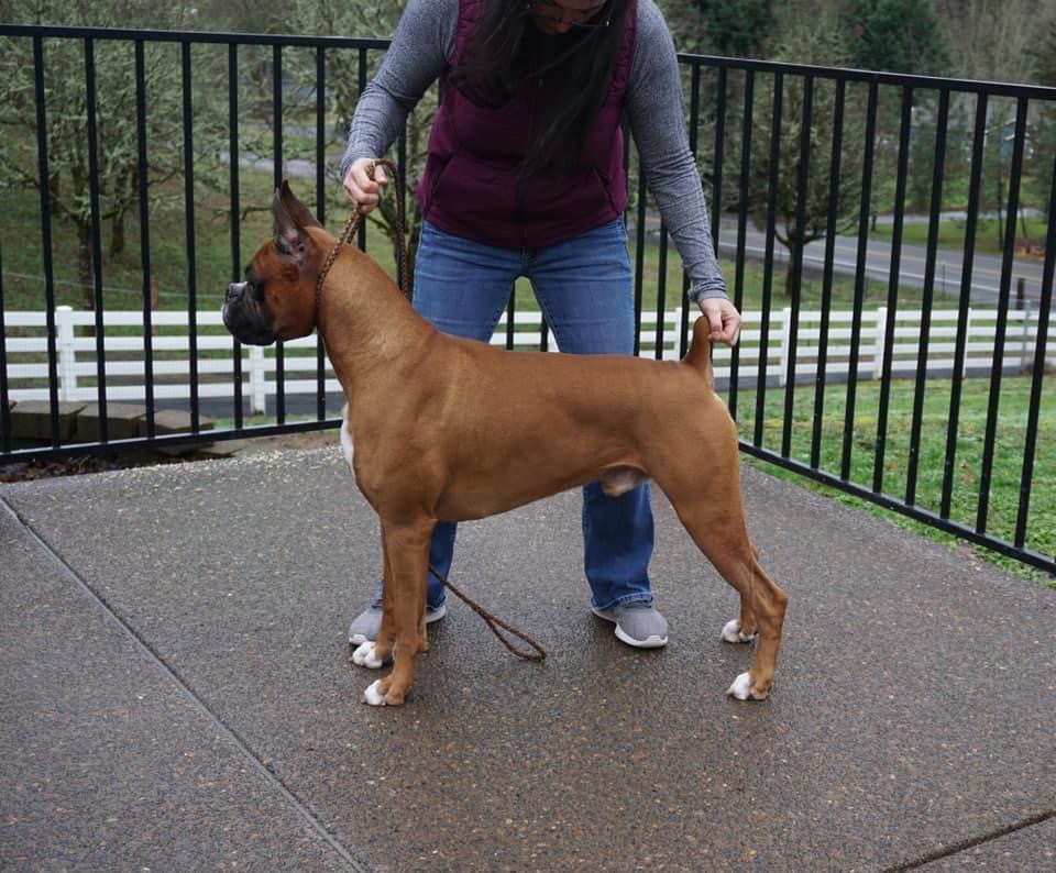 MI-T'S SECRET AGENT MAN - Sire