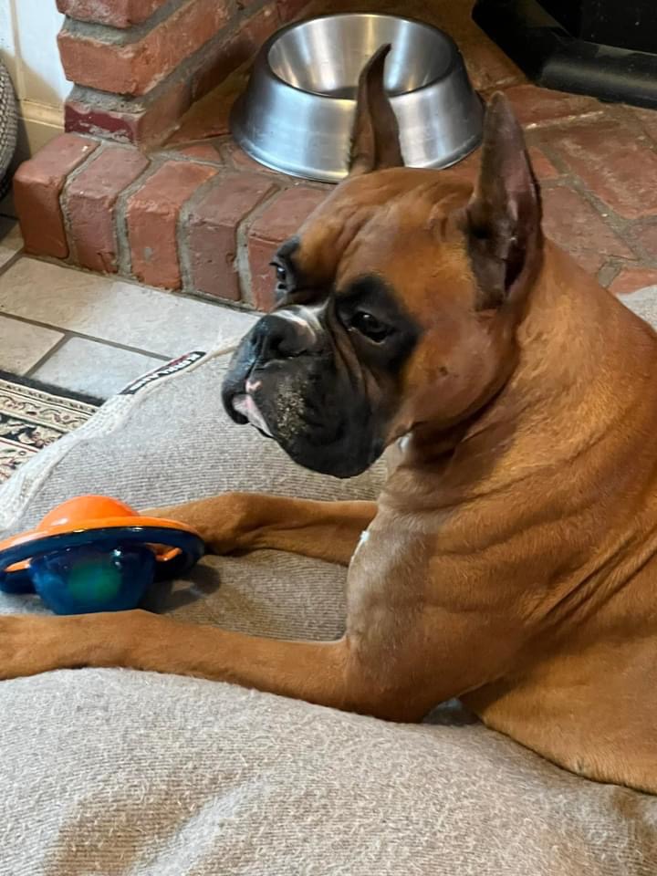 MI-T'S SECRET AGENT MAN - Sire