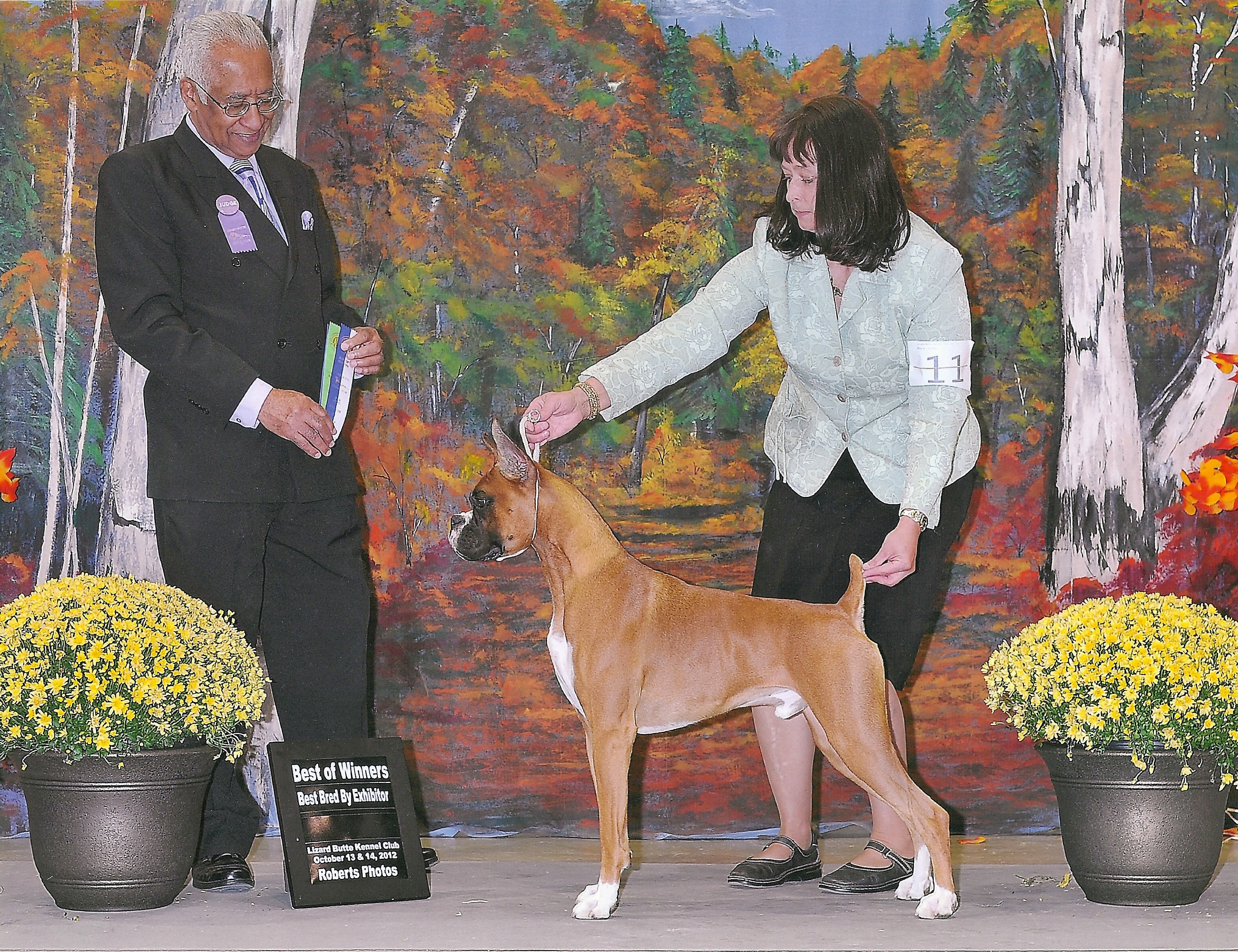 Hi Desert Bend It Like Beckham - Sire