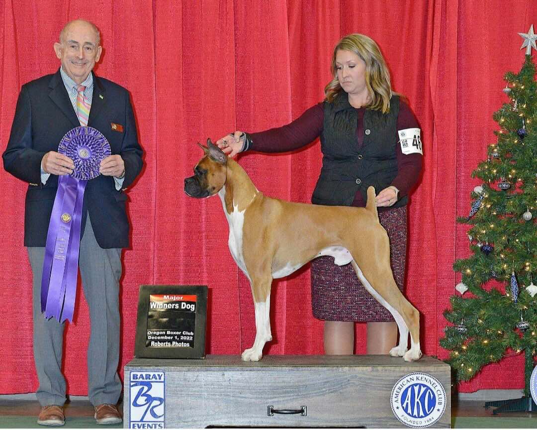 GCH CH TENEBO'S HELL OR HIGH WATER - Sire