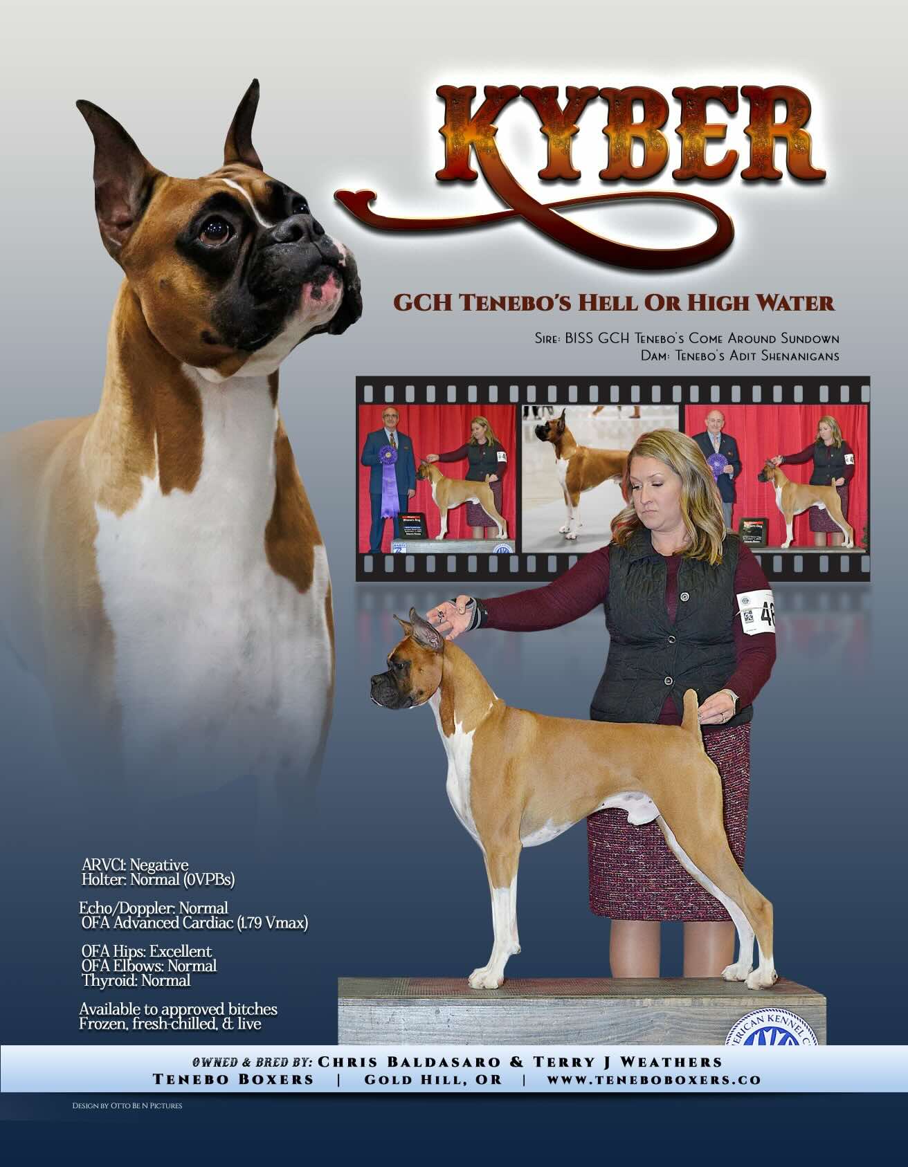 GCH CH TENEBO'S HELL OR HIGH WATER - Sire