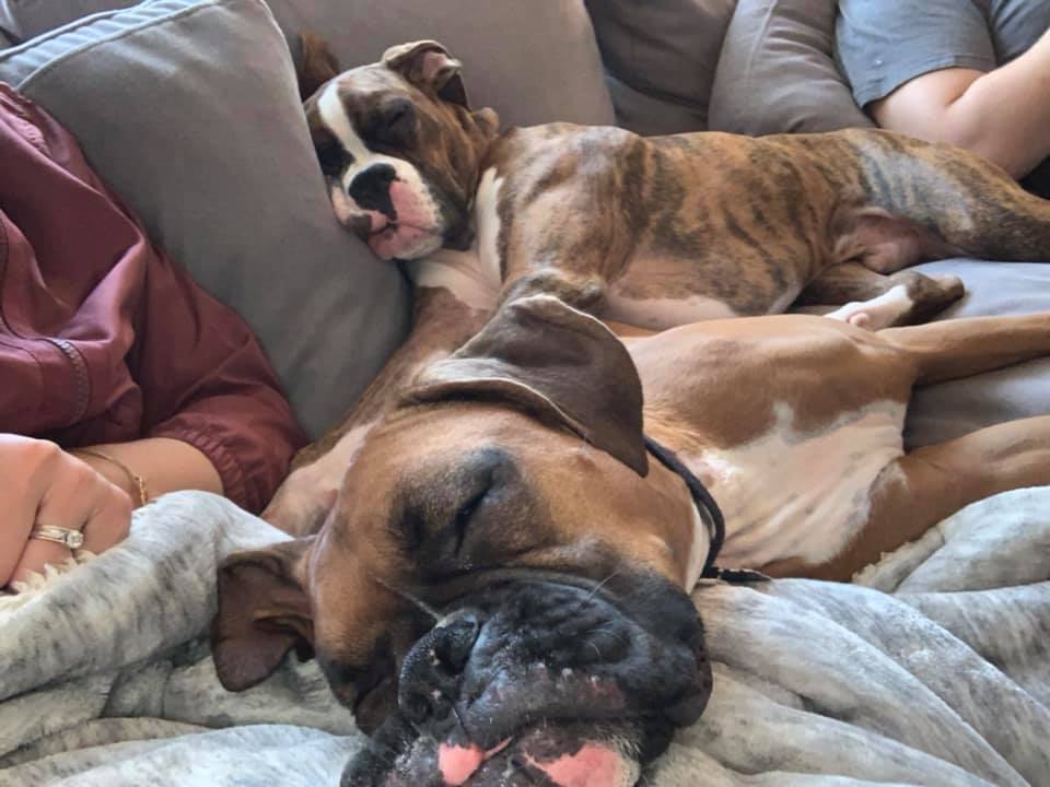 Leo & Lilly - Mindee P's family