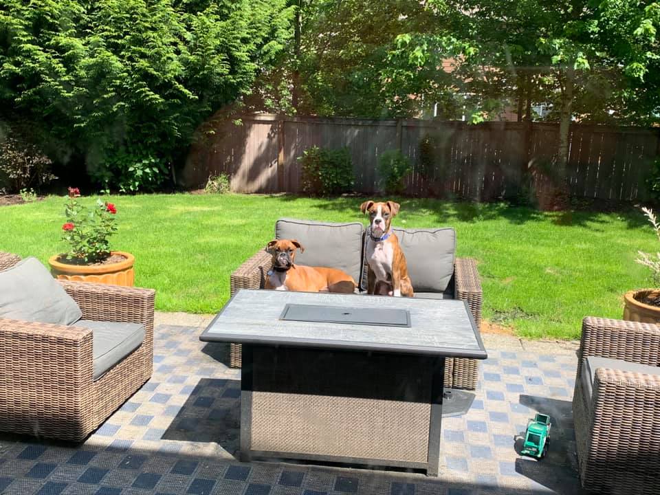 Leo & Lilly - Mindee P's family