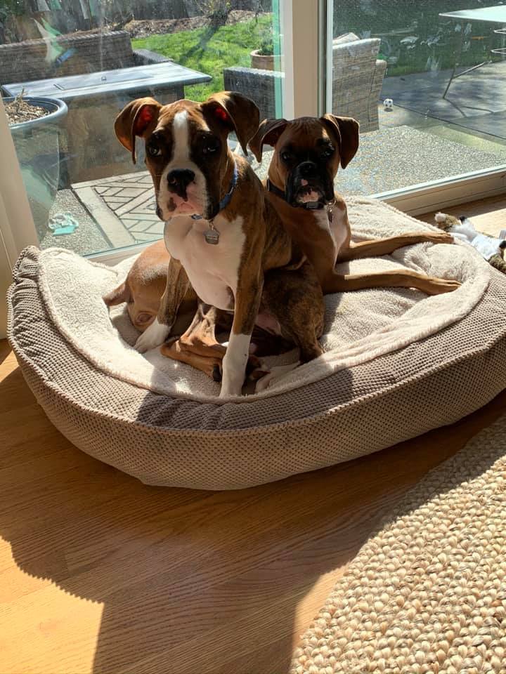 Leo & Lilly - Mindee P's family