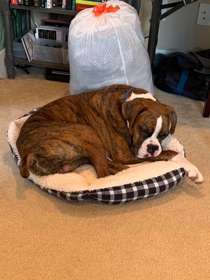 Leo & Lilly - Mindee P's family