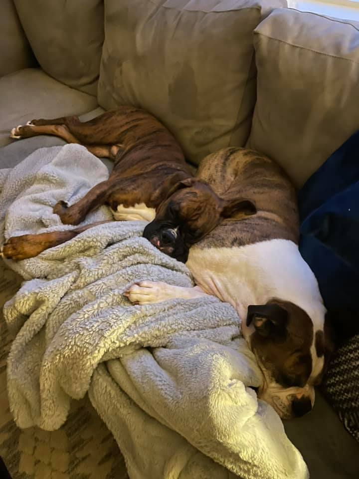 Bugsy - Kelly PG's family