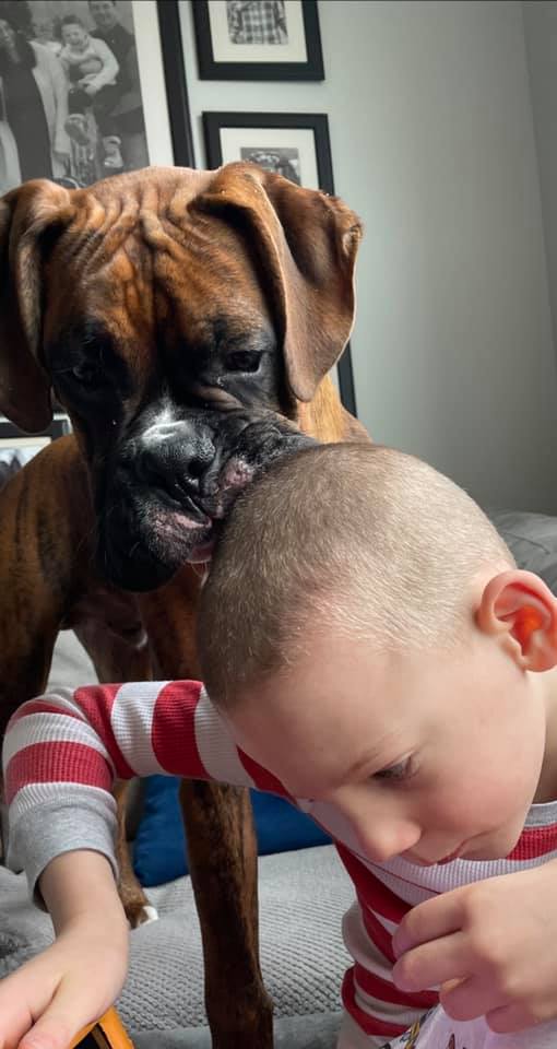 Bugsy - Kelly PG's family