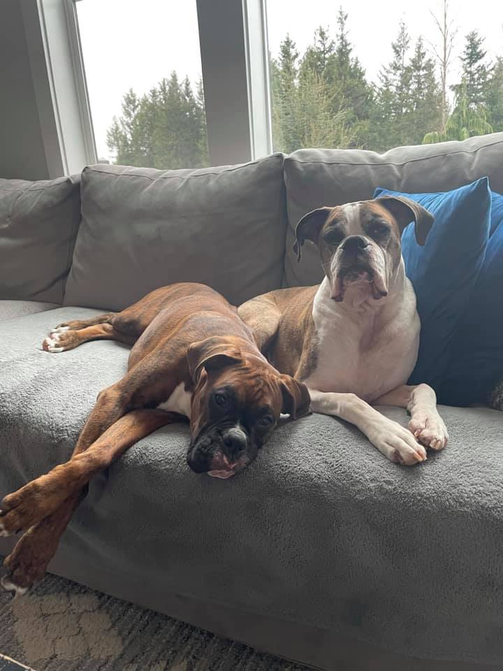 Bugsy - Kelly PG's family