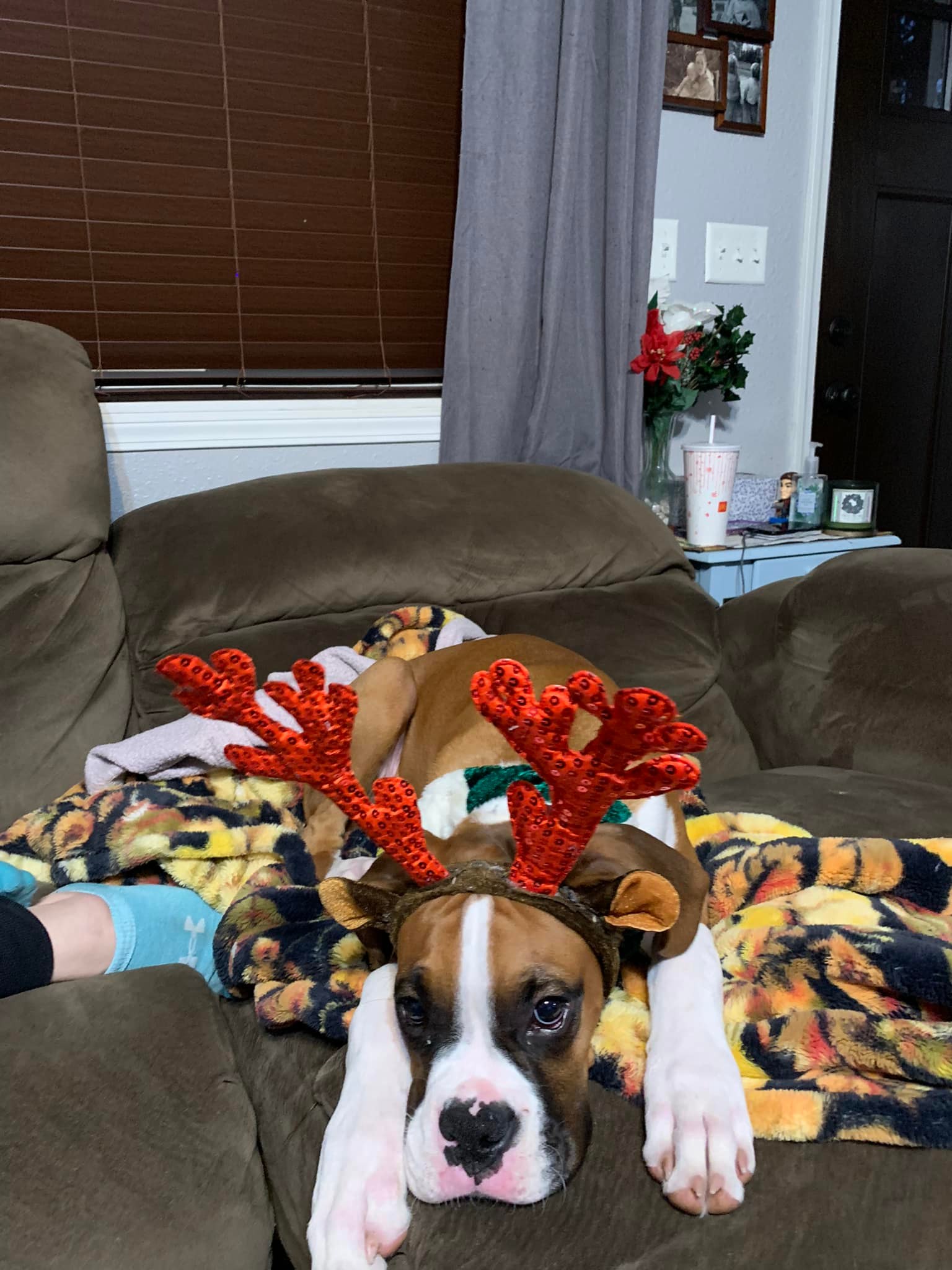 Sven - Josh S's family