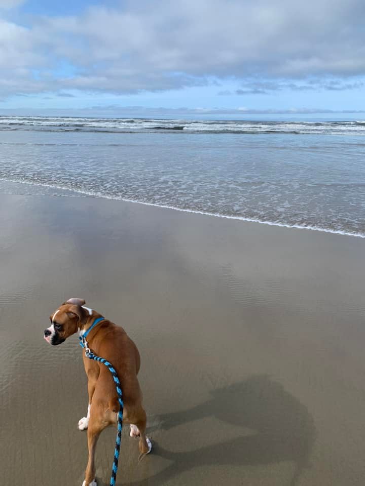 Sven - Josh S's family