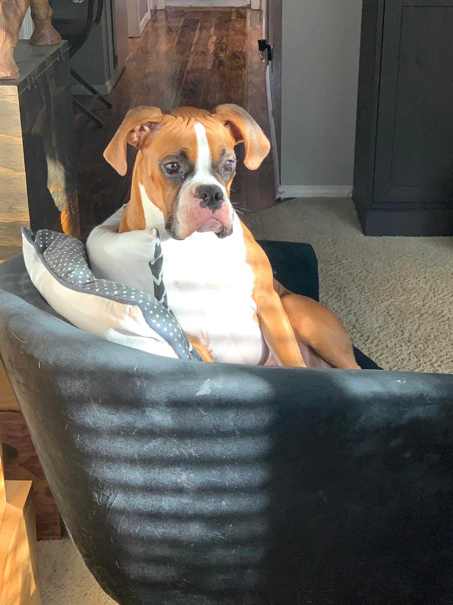 Sven - Josh S's family