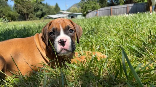 Fermi - Wendy T's family