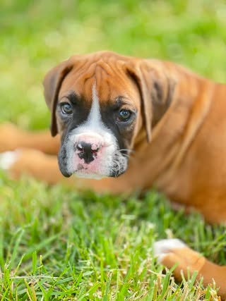 Fermi - Wendy T's family