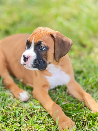 Fermi - Wendy T's family