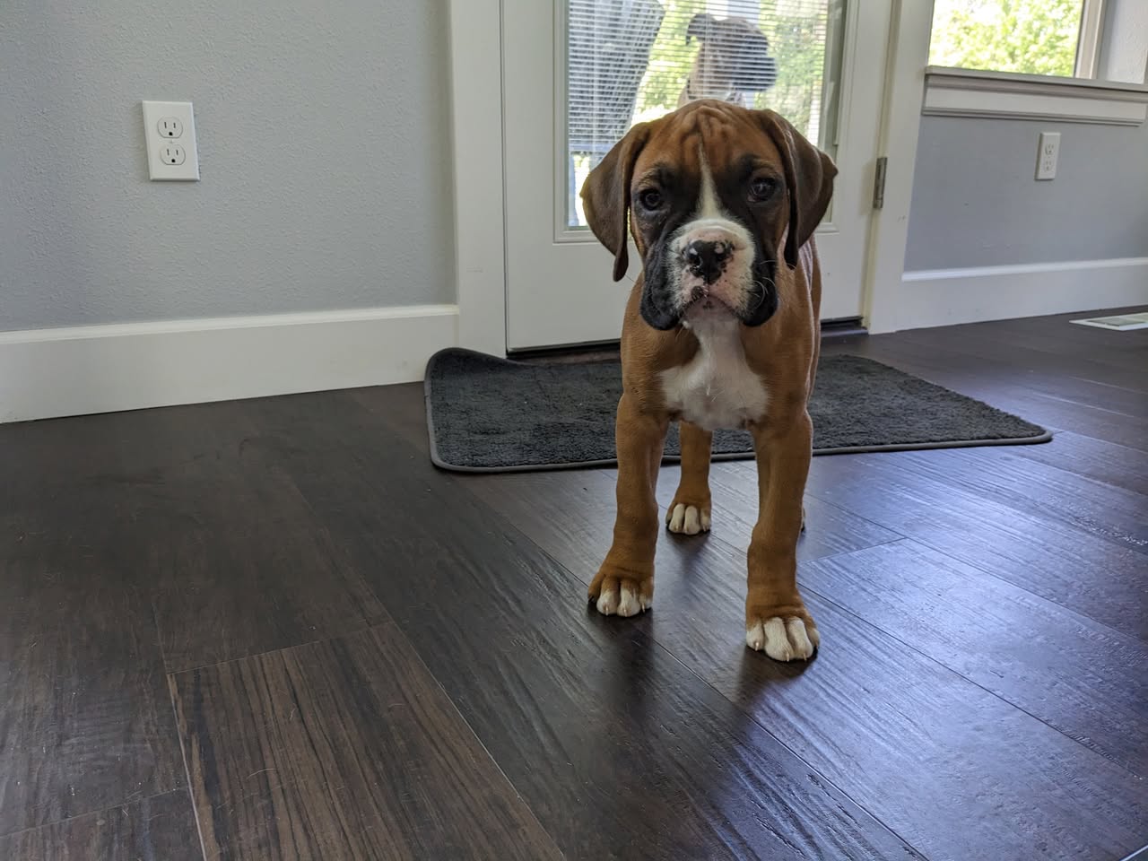 Fermi - Wendy T's family