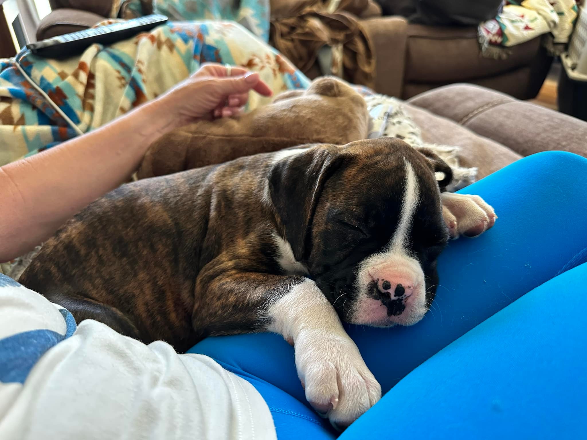 My Girl - Brenda Anderson's family