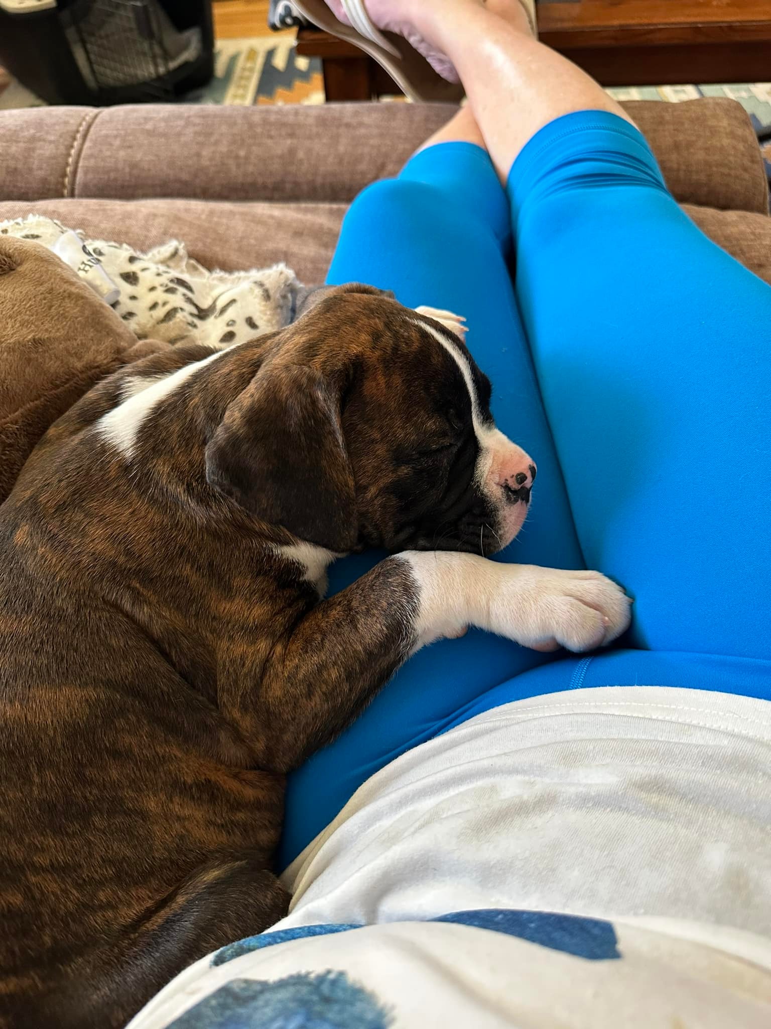 My Girl - Brenda Anderson's family