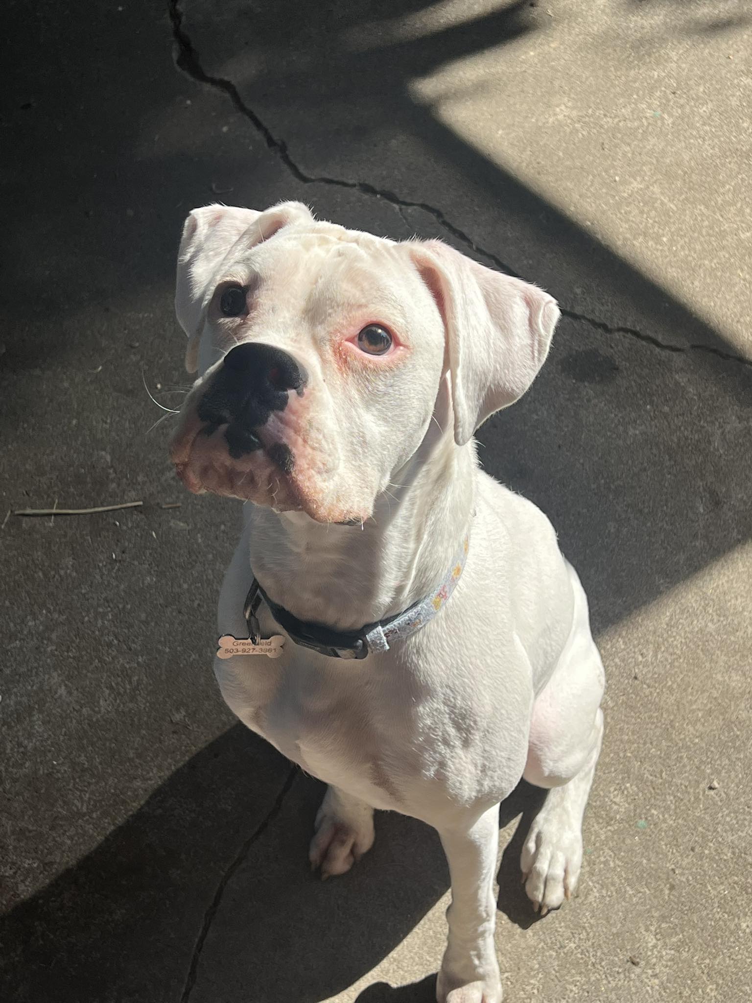 Petunia aka Tuna - Cassidy G's family