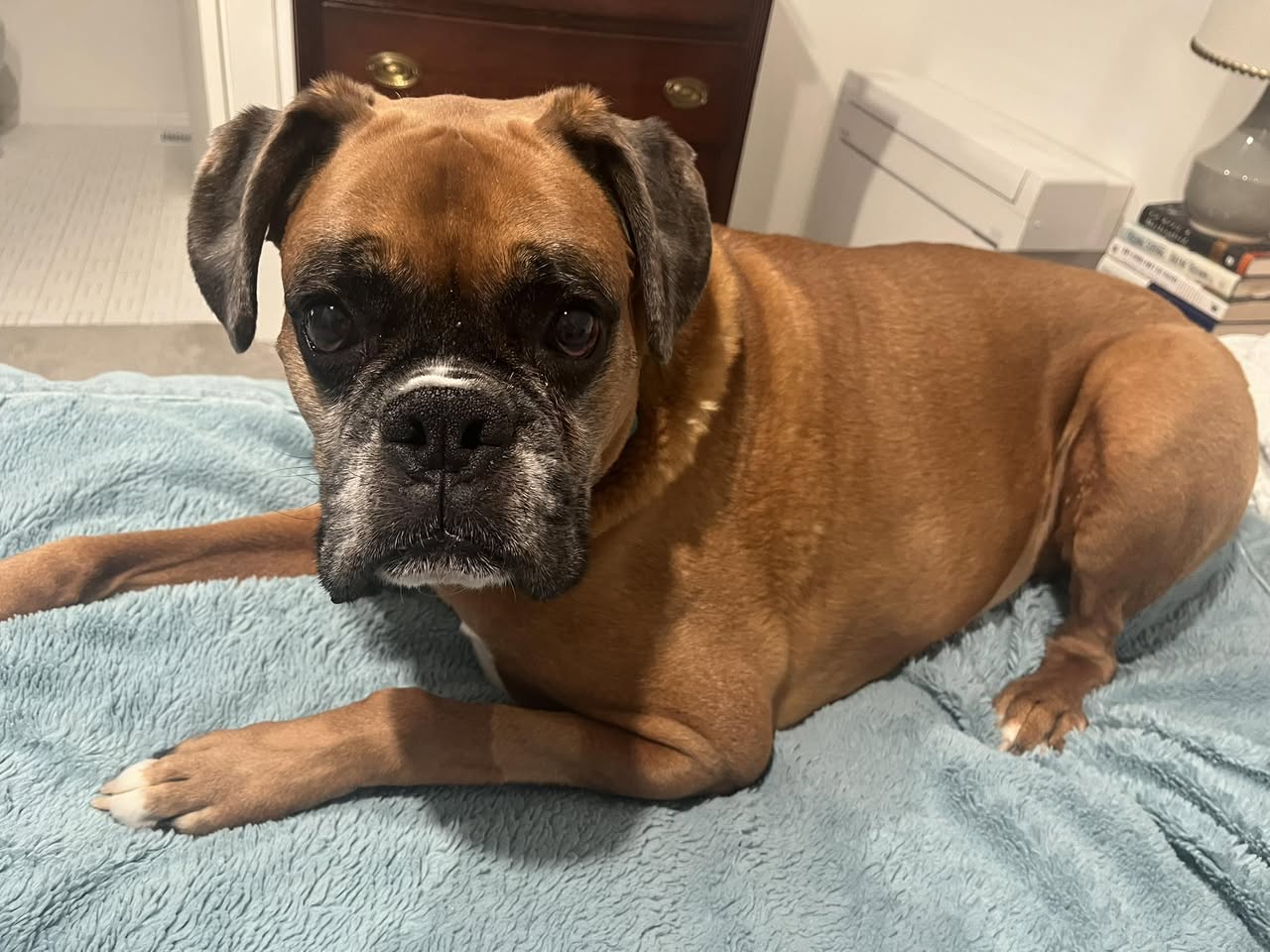 Max - Lisa G's family