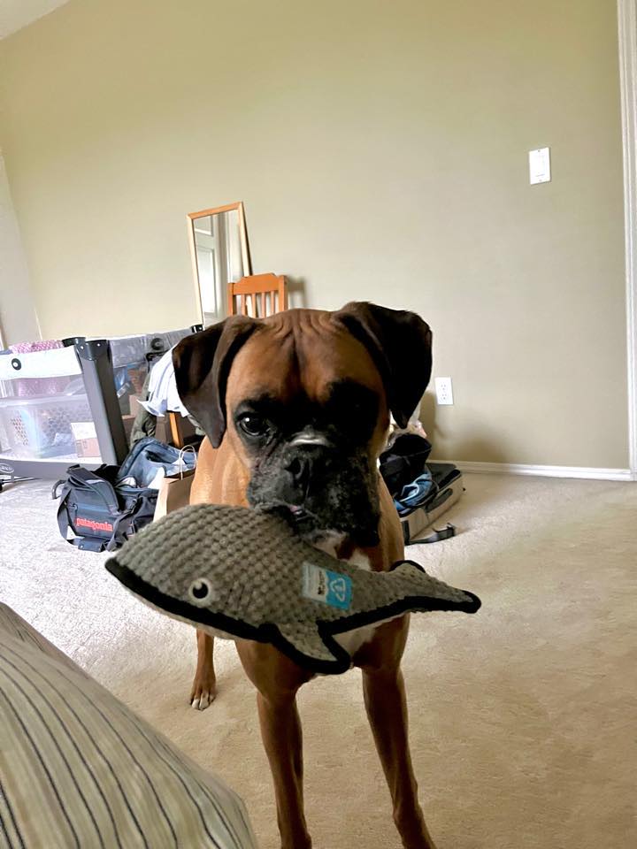 Leo - Thomas Pak's family