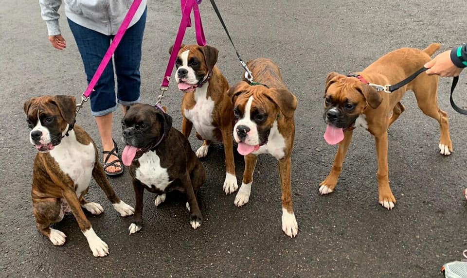 Leo - Thomas Pak's family